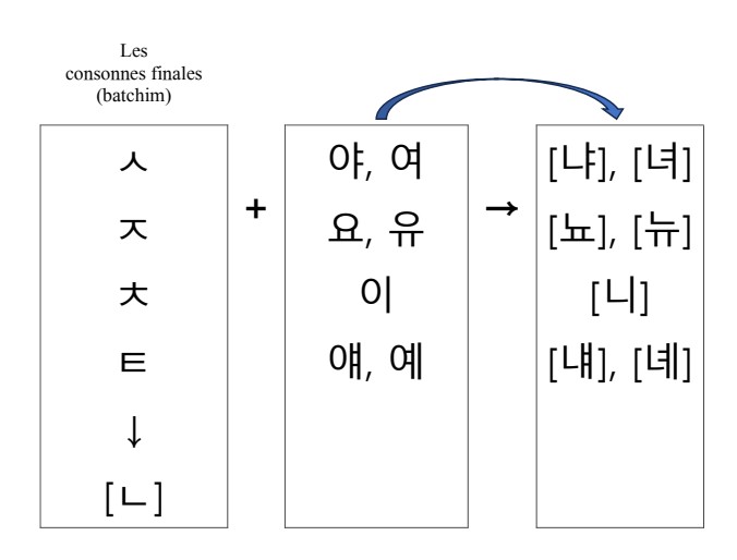 ㄴ첨가_3