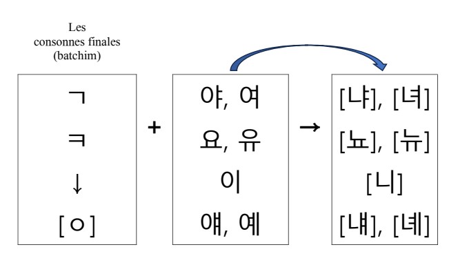 ㄴ첨가_4