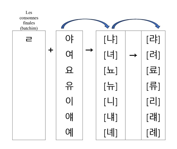ㄴ첨가_5
